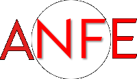 ANFE Consulting Logo